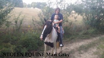 STOLEN EQUINE Maci Gray & Rebel, REWARD Near Jasper, AL, 35504